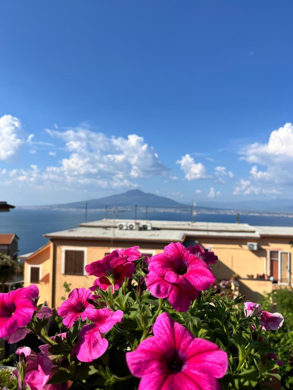 Elisabeth Seaview Apartments Sorrento Coast Vico Equense Dış mekan fotoğraf